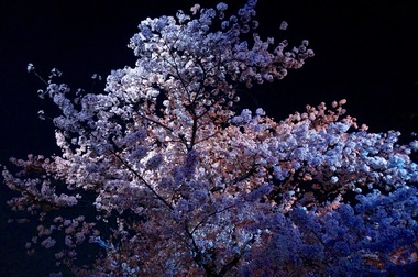 887370FC-D242-4FBB-AA41-0E722E791D3F.jpeg
